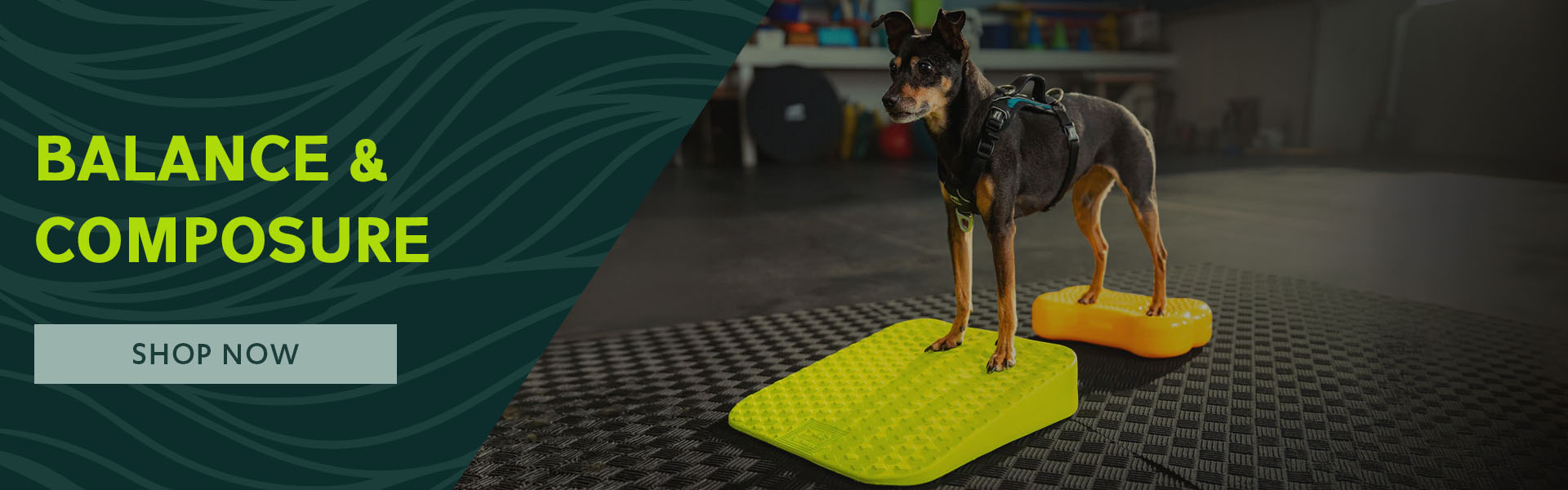 FitPAWS