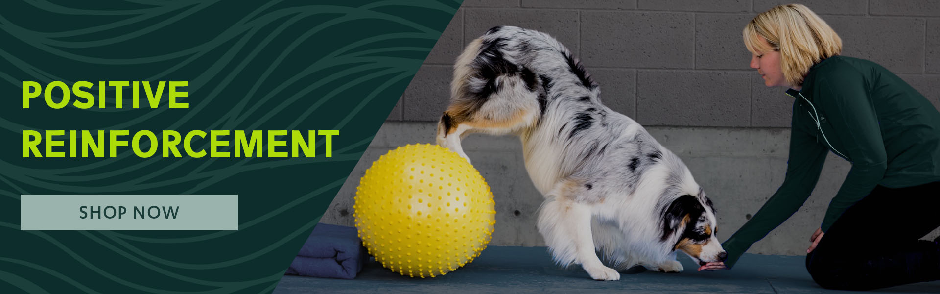 FitPAWS