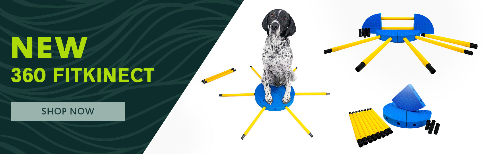FitPAWS