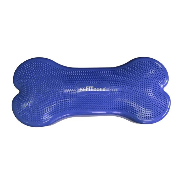 Giant - K9FITbone, Sky Blue