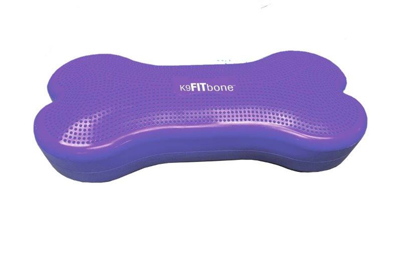Giant - K9FITbone, Violet