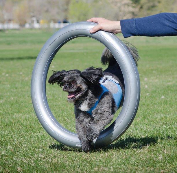 FitPAWS Donut Holder