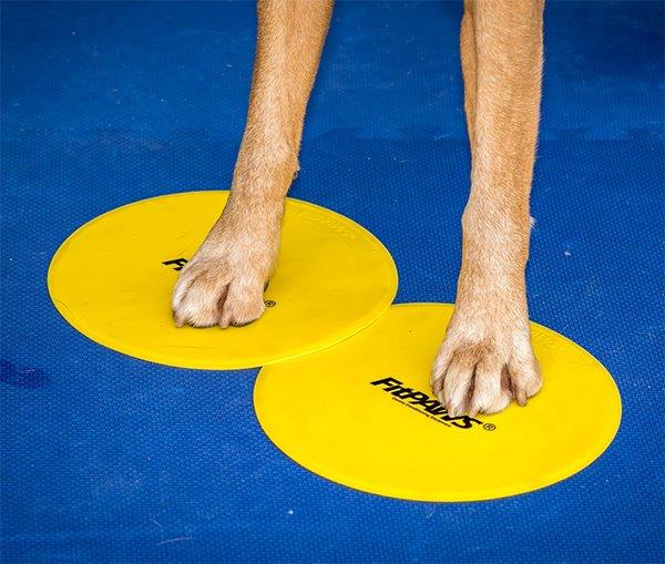 FitPAWS Targets (4 Targets)