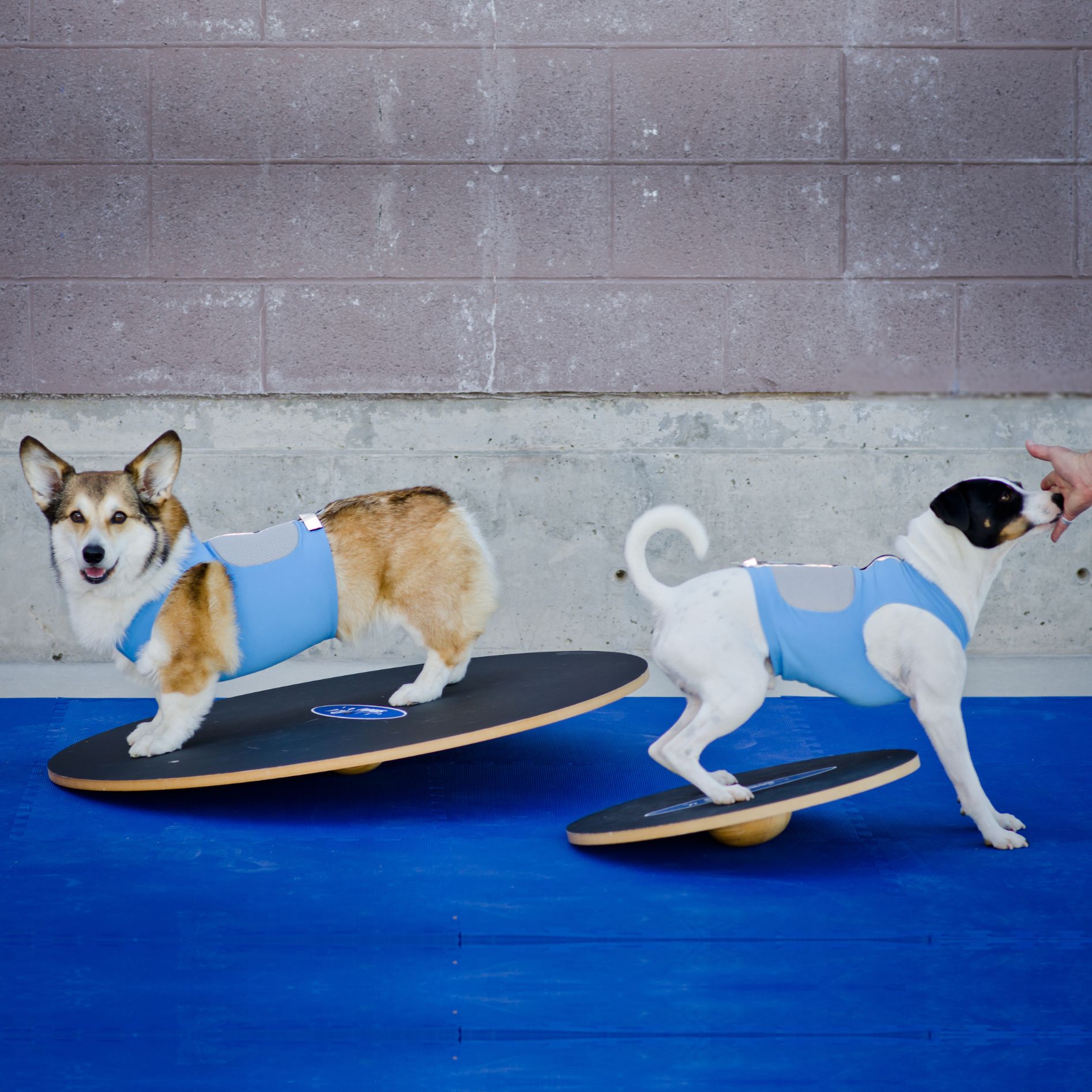 Boards